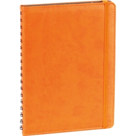 17x24 Spiralli Ajanda